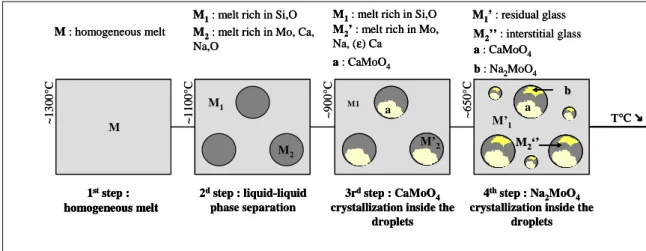Fig. 4. Synthetic scheme of probable scenario occurring during the cooling of M2 melt