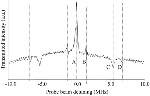 Figure  6  hole-burning  transmission  spectrum  for  measuring  γ y .  The  0.024T  magnetic  field  is  oriented  along  [001]