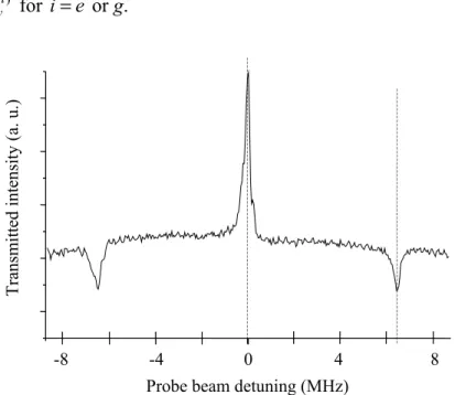 Figure  7  hole-burning  transmission  spectrum  for  measuring  γ y .  The  0.024T  magnetic  field  is  oriented  along  [111]