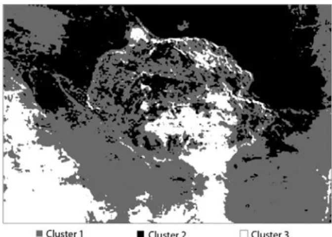 Figure  6.  Image  Clustered  Based  on  the  Pixel  Intensity  Values 