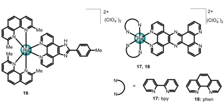 Fig. 5. Structures of [Ru(2,9-dmp) 2 PMIP](ClO 4 ) 2  (16), [Ru(bpy) 2 (tpphz)](ClO 4 ) 2