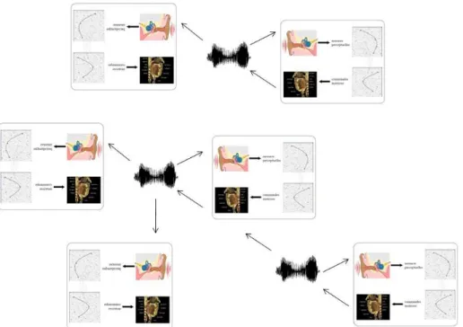Figure 5 In the experiment, babbling robots are  placed in a shared environment and can hear each other’s  vocalizations in addition to their own vocalizations
