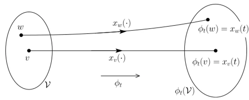 Fig. 4.2. Domaine de définition du flot φ t .