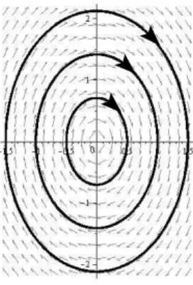 Fig. 2.3. Cas α = 0