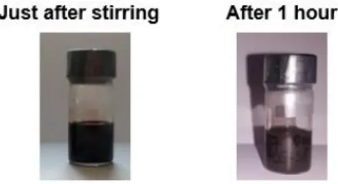 Figure  4  presents  pictures  of  the  suspension  just  after  BiCuOS  powder  was  mechanically dispersed in the solution of P3HT-Cat, and one hour after, showing the stability  of the suspension