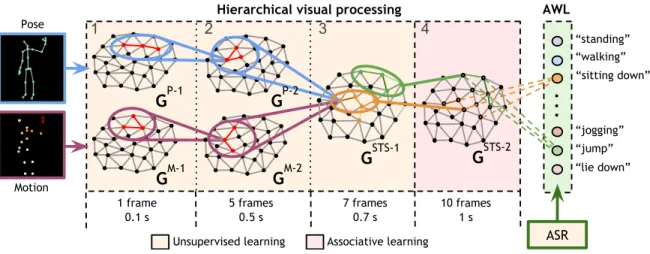 Fig. 1. Diagram of our learning architecture with GWR self-organizing networks and the number of frames (and seconds) required for hierarchical processing - Layers 1-3: parallel spatiotemporal clustering of visual features and self-organizing pose-motion i