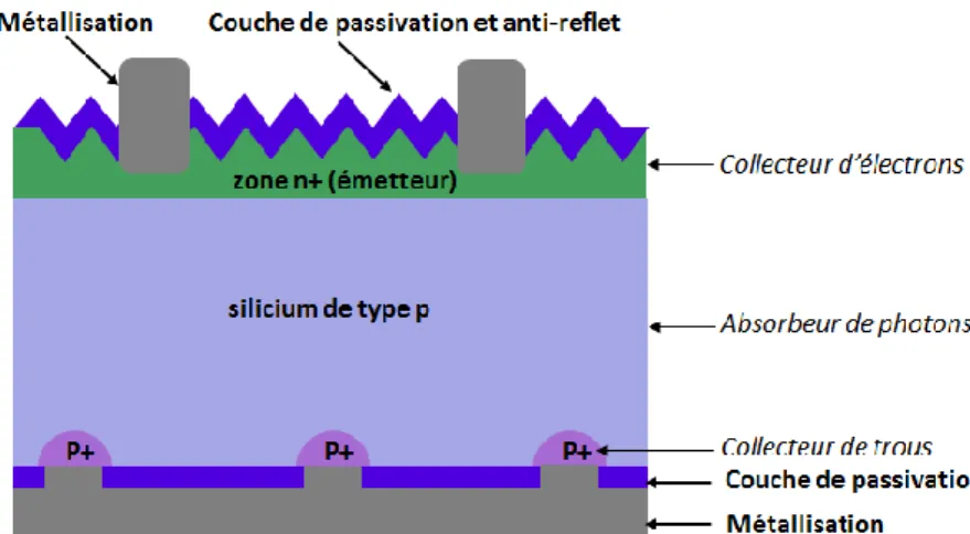 Figure 4 - Schéma d’une cellule photovoltaïque en silicium de structure PERC (Passivated Emitter  and Rear Cell) 