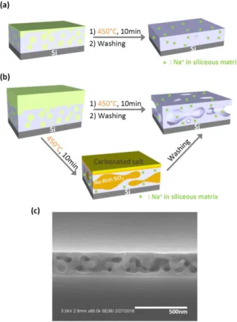 Figure  4.  (a),  (b)  Illustrations  of  the  densification  and  restructuration  mechanisms  of  the  Na-SiO 2   porous  films  for  initial  molar ratio Na/Si &lt; 0.5 and Na/Si &gt; 0.5 respectively