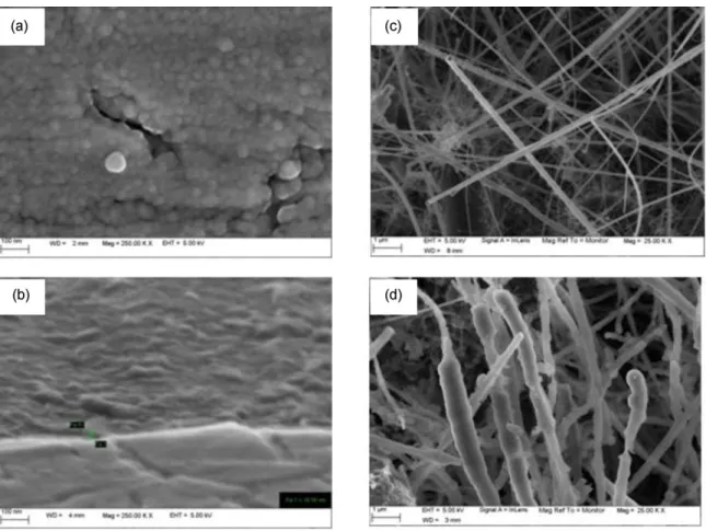 Fig. 2.  FEG-SEM micrographs of (a)  pristine thin film a-Si:H and (c)  pristine Si  nanowires (SiNW) and  after  one  CV in PC/LiClO 4  1M  performed on (b)  a-Si:H thin film and (d)  SiNW