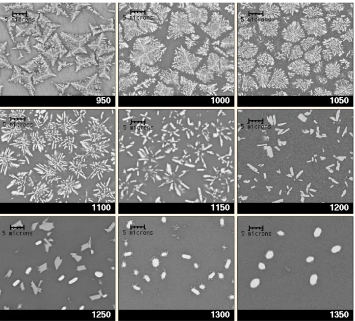 Figure 1. Backscattered SEM images of the bulk of the glass-ceramics prepared at the  indicated crystal growth temperatures T c  (x 3000) 