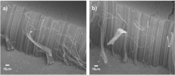 Figure 1. Cross section SEM images of v-CNTs before (a) and after 5 min of irradiation with oxygen ions with 1 keV of kinetic energy (b).