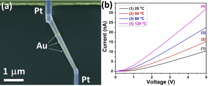 Figure  2. (a) SEM image of the nanophotodetector based on an individual Au-NPs/ZnO-NW