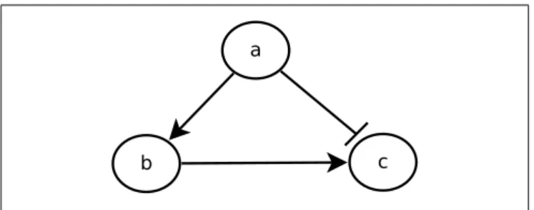 FIGURE 1 | Example of a feedforward loop.