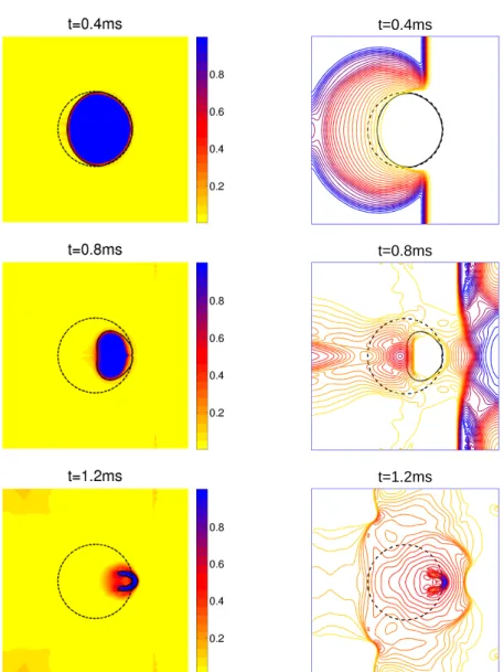 Figure 5: Numerical results for the vapor-bubble compression test with thermo-chemical relaxation effects