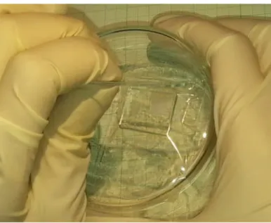 Figure 3.4: Oxide-layer deposition on FTO glass using doctor-blade technique