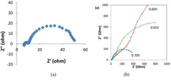 Figure 4.8: (a) Typical impedance spectra in the dark of of B1 brookite cell polarized at 0.775 (b) Effect of applied voltage on the impedance spectra of TiO 2 _B1 solar cell in the dark.