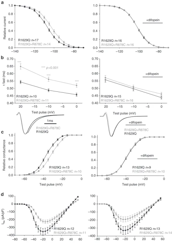 Fig. 6 Example of biophysical coupling between R1629Q and R878C mutants when co-transfected in HEK293 cells