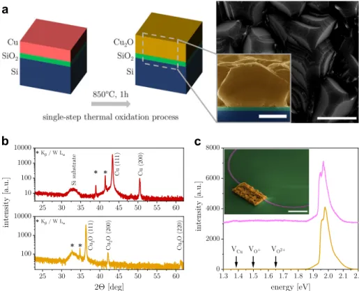Fig. 1 Growth and characterization of Cu 2 O microcrystals. a Schematics of sample layer structure before and after the thermal oxidation process (left).