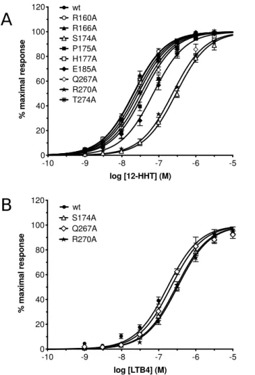 Figure 3: G i protein activation catalyzed by the wild-type BLT2 receptor and its mutants in the presence of increasing 12–HHT (A) or LTB4 (B) concentrations