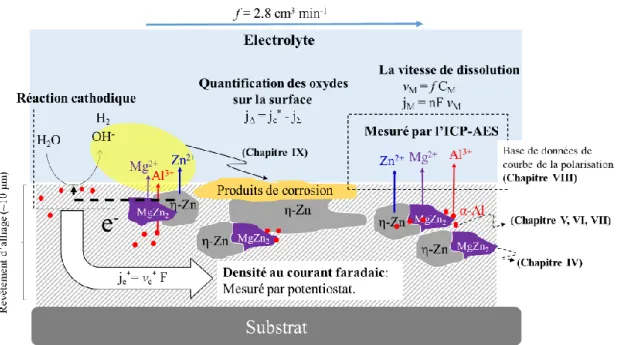 Fig. 1.1. Schéma  illustrant la dissolution élémentaire du système Zn-Al-Mg et son analyse  avec la technique AESEC