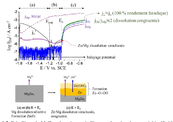 Fig. 1.2. Désalliage du MgZn 2  phase intermétallique en fonction du potentiel à pH=10,1,  NaCl 30 mM, électrolyte désaéré.