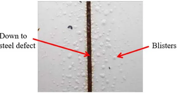 Figure 7 : Blistering around the down to steel defect after 22 months of natural exposure in a marine  environment 