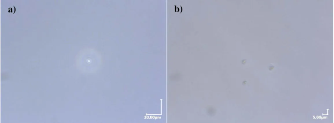 Table 19. Stoichiometric composition of the 2at.%Pr:ASL sample at different positions in the  boule and in the remaining melt