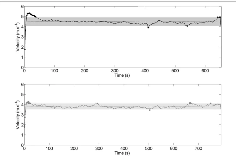 FIGURE 10 | Instantaneous velocity and average velocity over the whole race for international crew (top panel: black line) and national crew (lower panel: