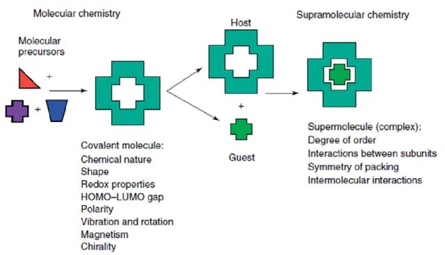 Figure 1: Difference between molecular chemistry and supramolecular chemistry according to Lehn  [3] 