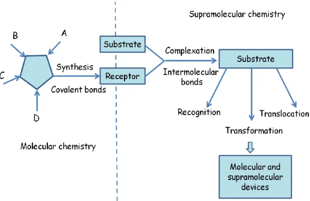 Figure 3: From molecules, to supramolecules, molecular and supramolecular devices  [8] 