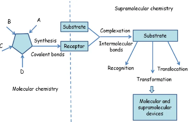 Figure 3: From molecules, to supramolecules, molecular and supramolecular devices  [8] 
