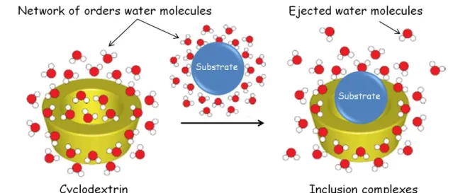 Figure 6: The hydrophobic effects involving cyclodextrins based inclusion complexes formation
