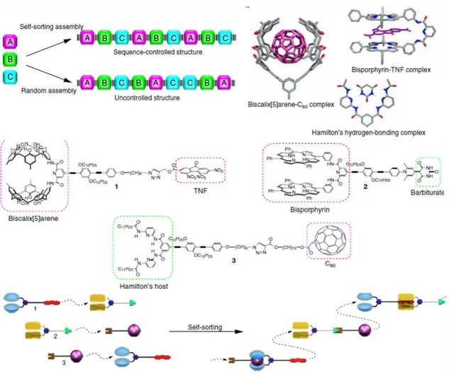 Figure 17: Schematic representation of sequence-controlled terpolymer via multiple non-covalent interactions of  three monomers and the head-to-tail terpolymerization complex [1–2–3] n  in sequence  [62] 