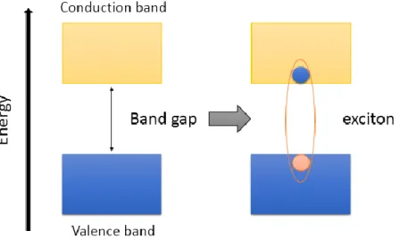 Figure 1. Formation of an exciton 