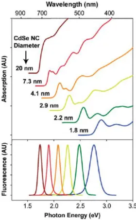 Figure 4. UV- visible spectra of various size QDs (top). Size-tunable fluorescence of  quantum dots (bottom)