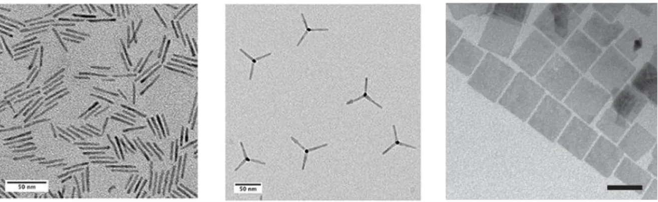 Figure 6. TEM micrographs of different CdSe nanocrystals: from left to right, rods,  tetrapods and nanoplatelets