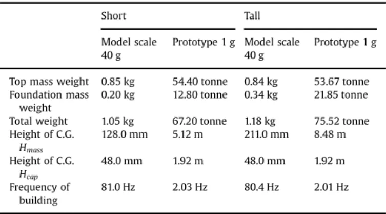 Fig. 6. Position of the piles in the ESB container.