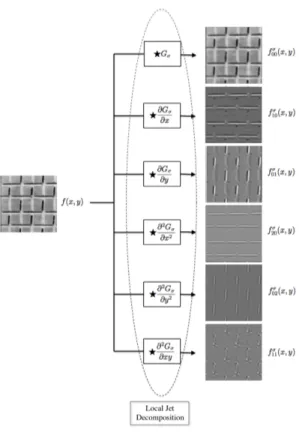 Figure 1: Local jet decomposition of one Brodatz texture image based on Taylor expansion.