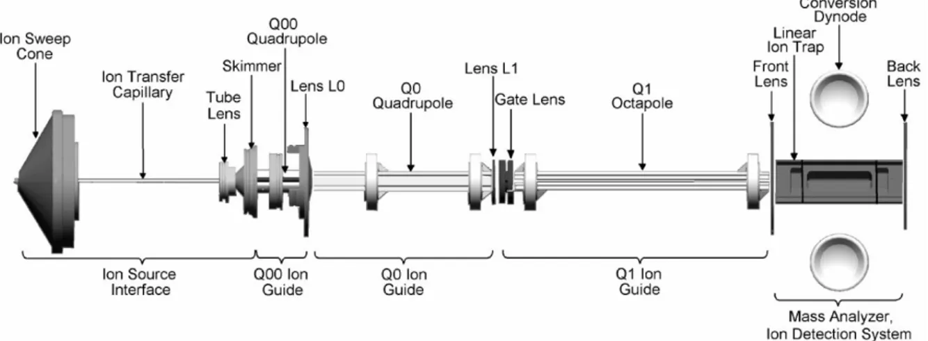 Figure  ‎ 2-6- Schematic of the linear trapping quadrupole (LTQ) instrument (Thermo Fisher ® , San Jose,  CA)