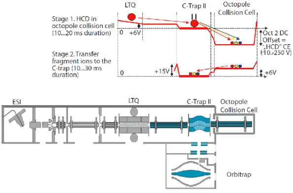 Figure  ‎ 2-11-  Second  configuration  of  HCD  where  fragmentation  takes  place  in  a  dedicated  octopole