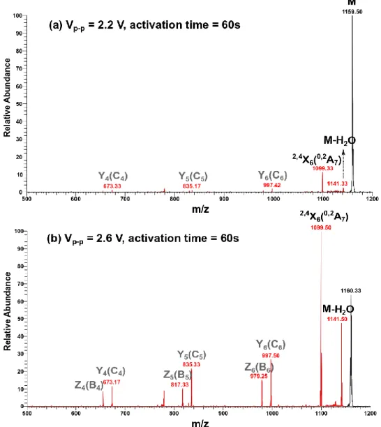Figure  ‎ 3-3-  CID MS/MS spectra of M=  [G 7 +Li] +   precursors  obtained with 60 s activation time and at  collision voltages of (a) 2.2 V, and (b) 2.6 V using a linear ion trap mass spectrometer