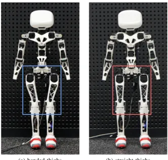 Fig. 1: We evaluate the effect of the thigh morphology on the biped locomotion dynamic