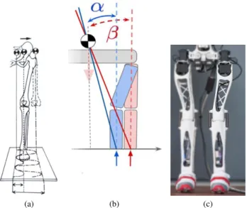 Fig. 3: a) Effect of the human being bended femur on the human biped locomotion. b) Model used for the comparison of the two thighs morphology