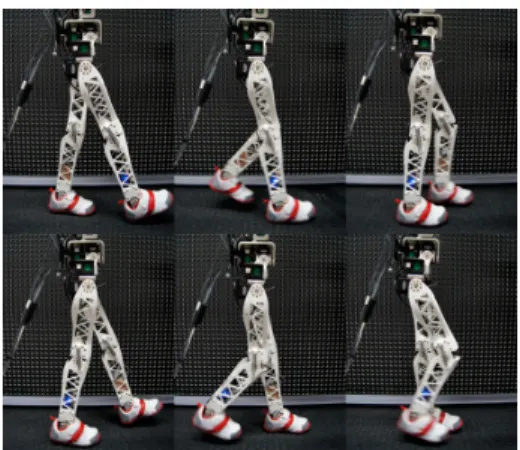 Fig. 8: Walking gait CPG described on Fig. 7.d applied on the actual Poppy robot. The CPG generates a human-like walking gait allowing the robot to walk at 1.8km/h and involves straight leg during the stance phase