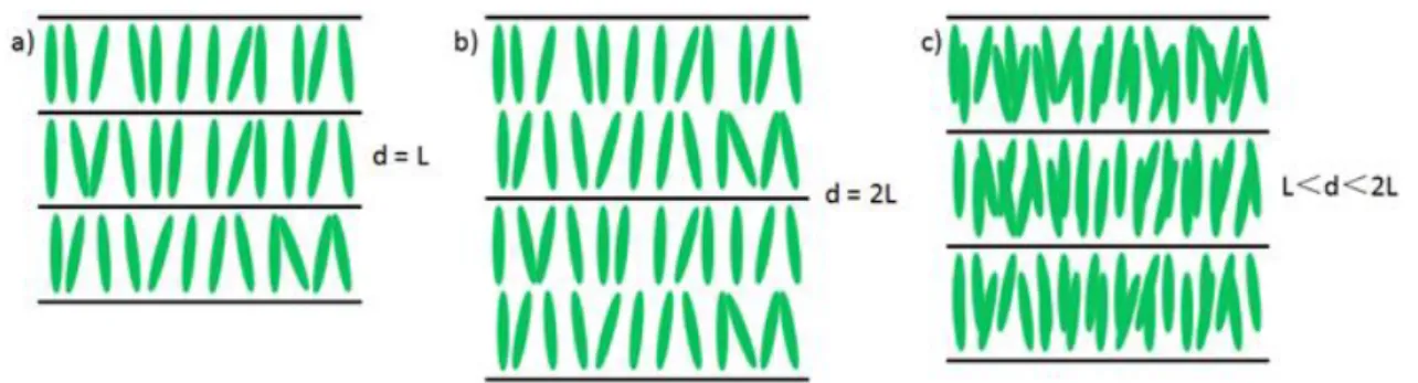 Figure 1.29 shows that the SmA layer has the following possible arrangements: (a) The monolayer  has  a  thickness  d  equal  to  the  length  L  of  the  molecule ;  (b)  Bilayer,  d≈2L;  (c)  Crossed  molecular  arrangement, L< d< 2L