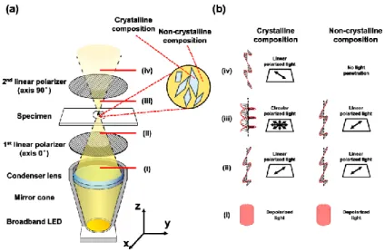 Figure 1.38 The a) schematic and b) principle of a polarization microscopy system  87 