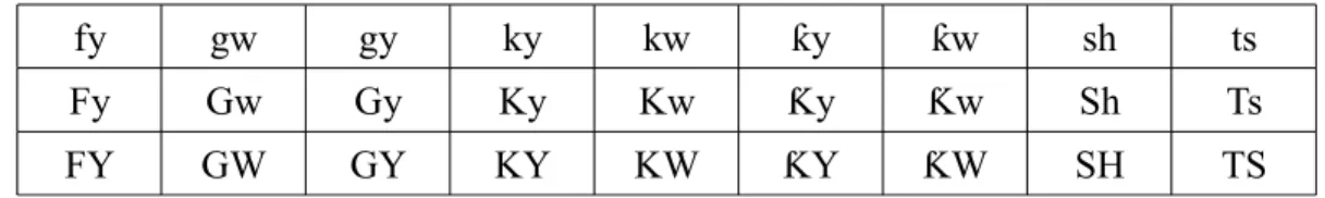 Table 1 : digraphes du haoussa et du kanouri absents de Unicode