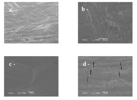 Figure 3 : SEM observations of the test specimen surface (a- martensite plates, b- crack  initiation at martensite-martensite interfaces, c- crack initiation at grain boundaries, d- crack 