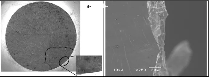 Figure 4 : Observations of the fracture surface 