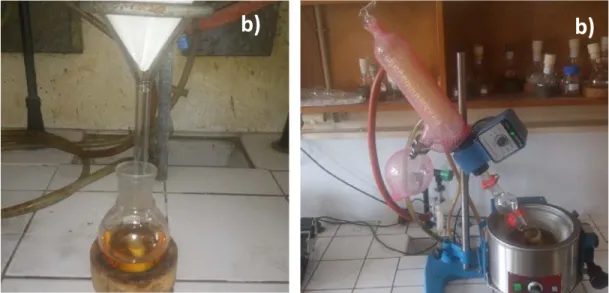 Figura 3.5. Estructura química de los líquidos iónicos sintetizados en el presente  trabajo: a) catión del N-(2-hidroxietil)-N,N-dimetiloctan-1amonio [C8linCol] + , b) 